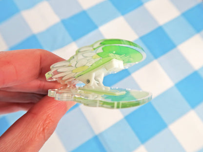 Spring Frog Binder Clip